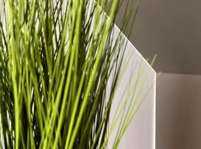 H-85 - Bright Collection